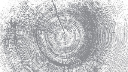 Abstract tree trunk cross section with rustic grain detail © VECTOR HOUSE