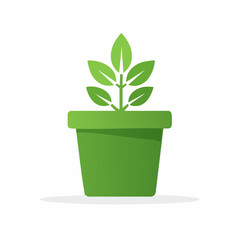 Fototapeta premium Green plant growing in a pot