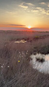 4K Sunset Over Blooming Cottongrass (Eriophorum) Moor with Water Reflections and Dramatic Clouds - Warme Abendstimmung &uuml;ber einer Moorlandschaft zur Wollgrasbl&uuml;te mit Wasserreflexionen