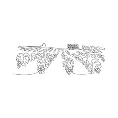 Obraz premium Continuous line drawing of vineyard landscape featuring grapes and winery estate house.