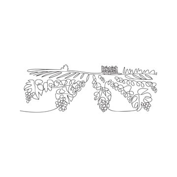 Continuous line drawing of vineyard landscape featuring grapes and winery estate house.