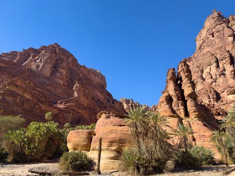Landscape of Wadi Al-Disah, Sandstone Canyon Oasis, Tabuk Province, Northwest Saudi Arabia