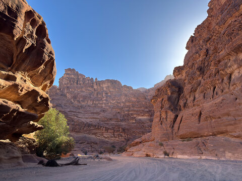Landscape of Wadi Al-Disah, Sandstone Canyon Oasis, Tabuk Province, Northwest Saudi Arabia