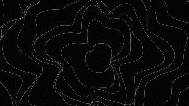Abstract topographic map style background with flowing white lines on black
