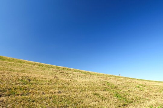 ジョギングロードのある除草された冬の江戸川土手風景