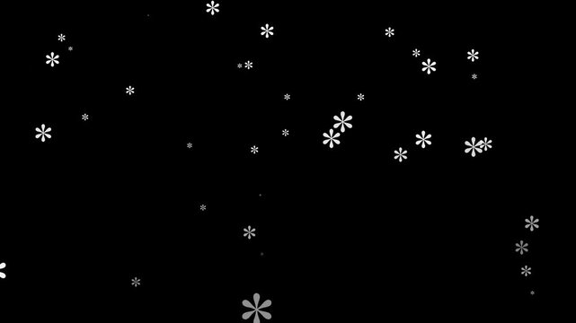 Abstract white stylized flower icons falling on black background, seamless floral motion loop