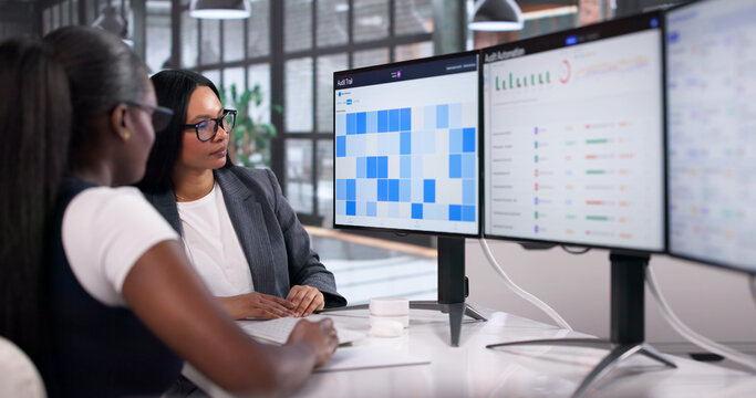 Internal Auditor Using Computer To Review Financial Logs