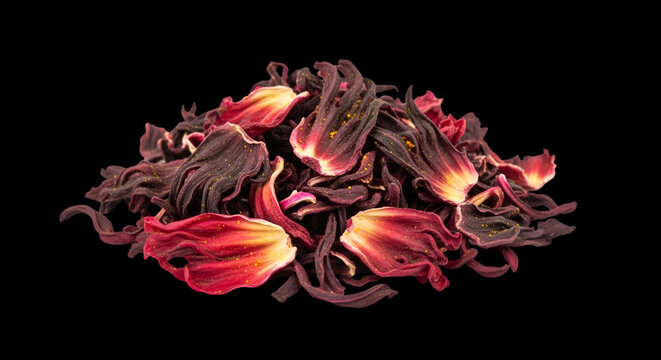 Dried Red Hibiscus Flowers Arranged on Black Background