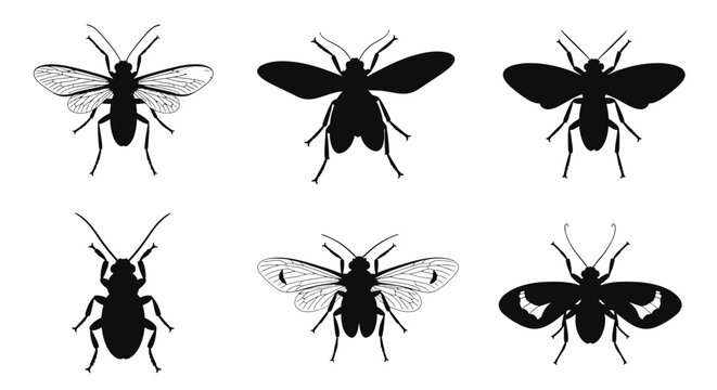Black Silhouette Collection of Insects Including Beetles and Wasps