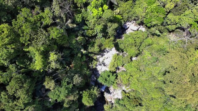 Aerial view of beautiful mountain forest lake with waterfalls