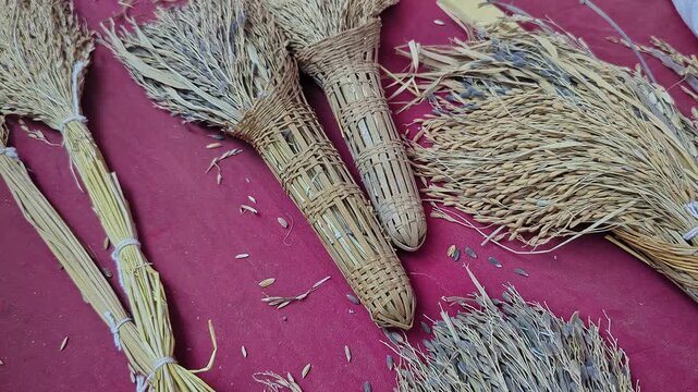 Closeup view of dried paddy sheaves displayed at krishi mela showcasing traditional harvest bundles