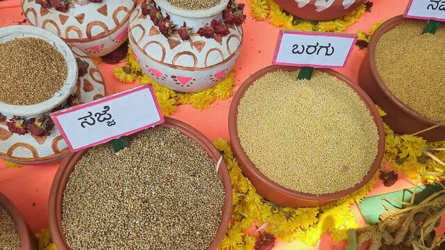 Closeup of traditional Indian millets displayed at krishi mela showcasing grain diversity