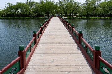 Obraz premium Symmetric Pathway on Gungnamji Wooden Bridge toward Lush Shore