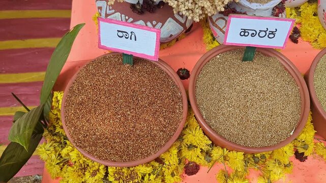 Closeup of traditional Indian millets displayed at krishi mela showcasing grain diversity