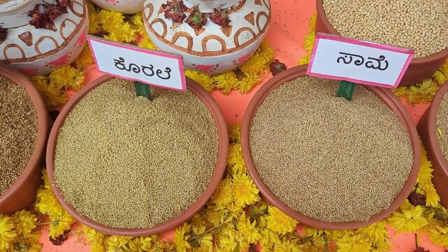 Closeup of traditional Indian millets displayed at krishi mela showcasing grain diversity