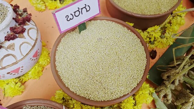 Closeup of proso millet displayed at krishi mela highlighting grain texture and traditional crop