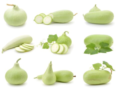 Calabash vegetable collection isolated on white background
