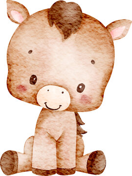 Watercolor Baby Horse Illustration