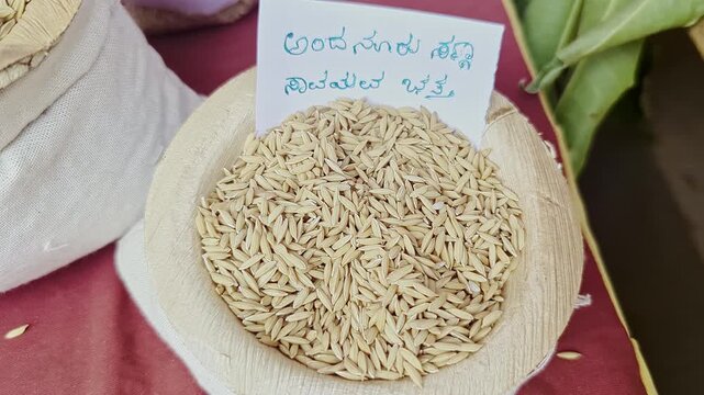 Closeup view of Andanur organic paddy displayed at krishi mela showcasing grains and texture