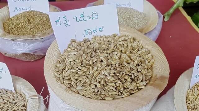 Closeup view of Ratna Chuda Sagara paddy displayed at krishi mela showcasing grain quality