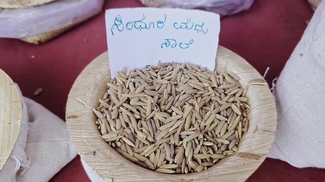 Closeup view of Sindhura Madhu Saale paddy displayed at krishi mela showcasing grain quality