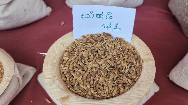 Closeup view of mehdi paddy displayed at krishi mela showcasing grain texture