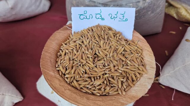 Closeup view of long grain rice displayed at krishi mela showcasing fine texture