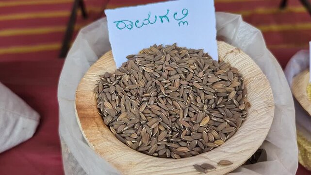 Closeup view of ramagalli rice displayed at krishi mela showcasing fine long grains