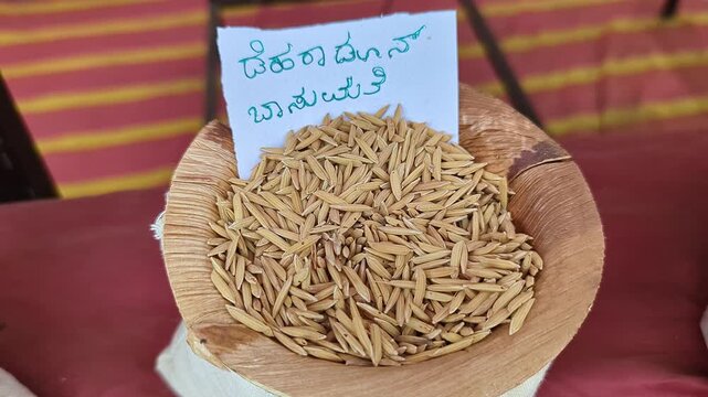 Closeup view of dehradun basmati rice displayed at krishi mela showcasing fine long grains