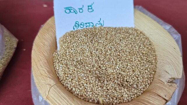 Closeup view of kodo grain displayed at krishi mela showcasing small grains and texture