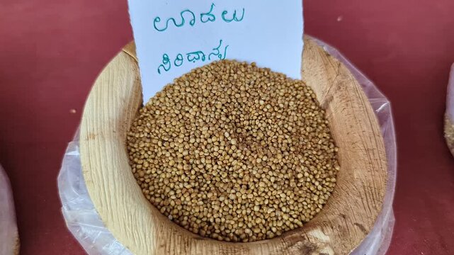 Closeup view of barnyard millet grain displayed at krishi mela showcasing small grains and texture