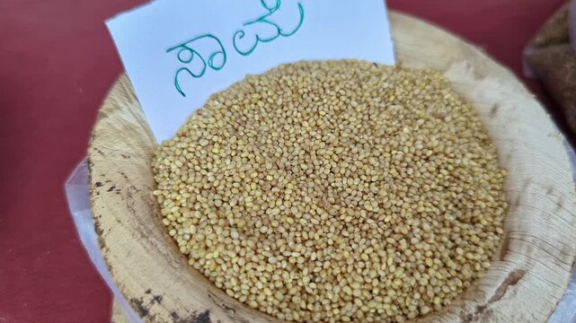Closeup view of little millet grain displayed at krishi mela showcasing small grains and texture