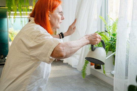 A grandmother with fiery red hair uses a watering can to hydrate her potted flowers on the kitchen windowsill. The elderly woman finds joy in daily plant care routine. Senior hobbyist at home.