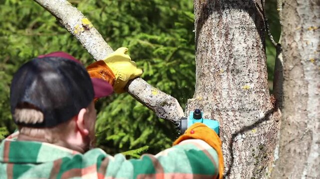 Close-up of a gardener performing sanitary pruning and crown shaping on a tree, using a handsaw to cut branches while wood chips fly, outdoors on a sunny day, wearing a yellow glove.