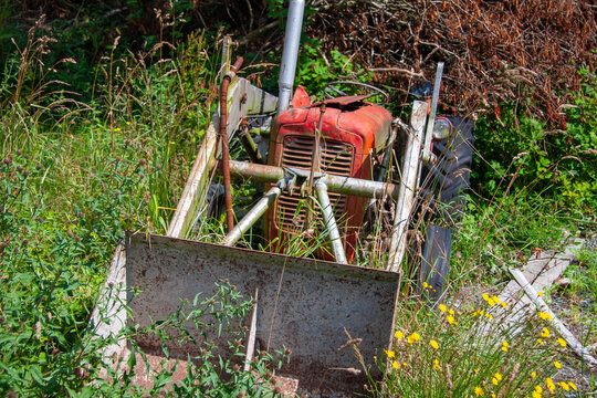 Abandoned Old Tractor in Overgrown Vegetation