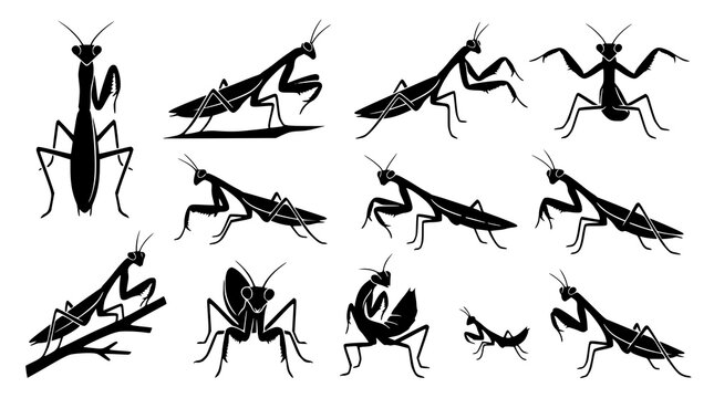 Praying mantis silhouette collection black vector insect animal icons