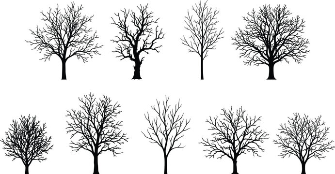 Leafless tree silhouette flat vector illustration featuring eight diverse branching patterns, winter forest design art, nature graphic, black-and-white drawing