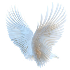 Fototapeta premium Elegant White Angel Wings Isolated On Transparent Background Detailed Feather Structure Capturing Light And Texture