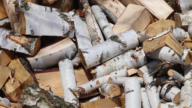 Pile of chopped birch logs with white bark for winter heating, 4k video