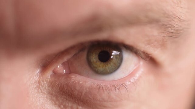 Eye, face and vision with person closeup for optometry, eyesight care and glaucoma exam. Portrait, ophthalmology and ocular health with iris, contact lenses or optical assessment for wellness