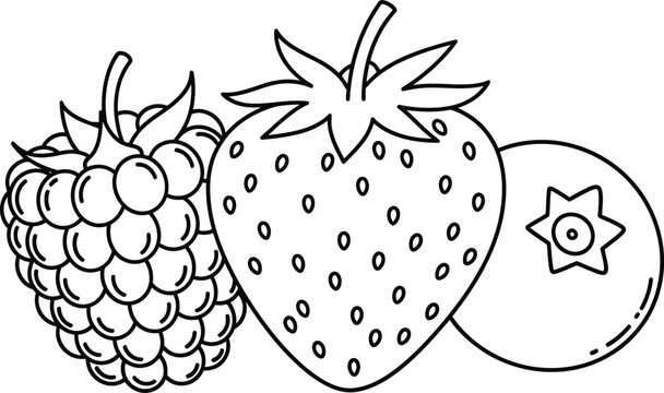 Black and white line drawing of strawberry, raspberry and peach