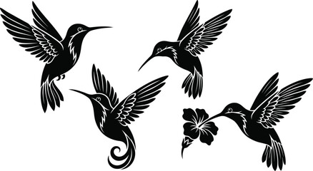 Naklejka premium Four elegant black silhouettes of hummingbirds in flight one feeding from a stylized tropical flower against a clean white background showcasing delicate wing patterns and graceful movement