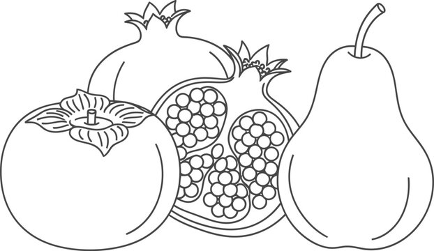 Line drawing of pomegranate and pear fruit