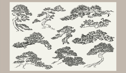 Naklejka premium set of vector illustration of bonsai tree leaves branch card design with Ink wash painting in traditional style.