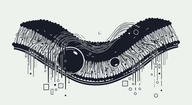 Biological membrane structure exhibits fluid cellular activity with organic curves and floating molecular spheres to represent advanced microscopic research and the complexity of living cell systems.