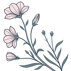 Elegant pink flower branch illustration with buds and delicate leaves, botanical © cccc