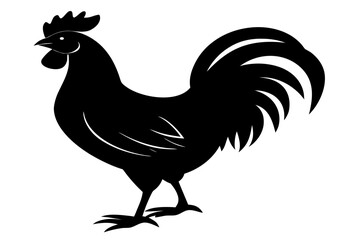 cock and rooster silhouette vector, cock and rooster  black symbol, rooster black icon  © Silhouette Studio