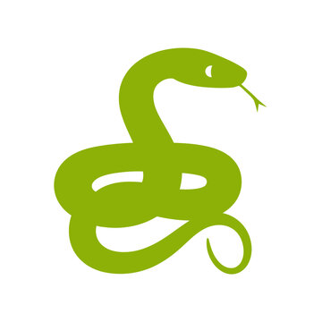 Minimalist green coiled snake icon with flicking tongue isolated on a clean white background graphic.
