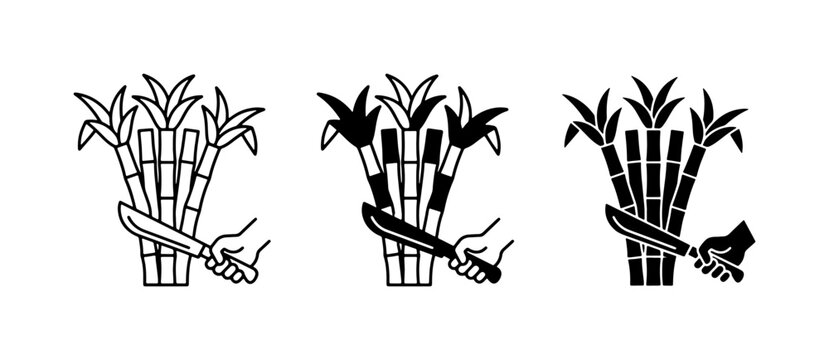 Sugar Cane Harvest Icons, Agricultural Farming, Sweetener Production, Vector Set