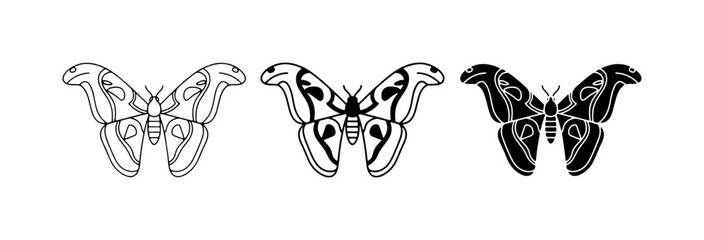 Three Stylized Butterfly Silhouettes, Outline, Filled, and Detailed Vector Graphics © Arif